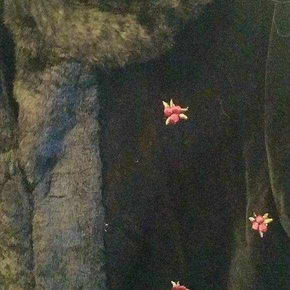 Black Gymboree Jacket size 8 - Picture 3 of 5